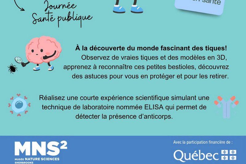Des tiques aux smoothies : une semaine santé pas comme les autres à Sherbrooke